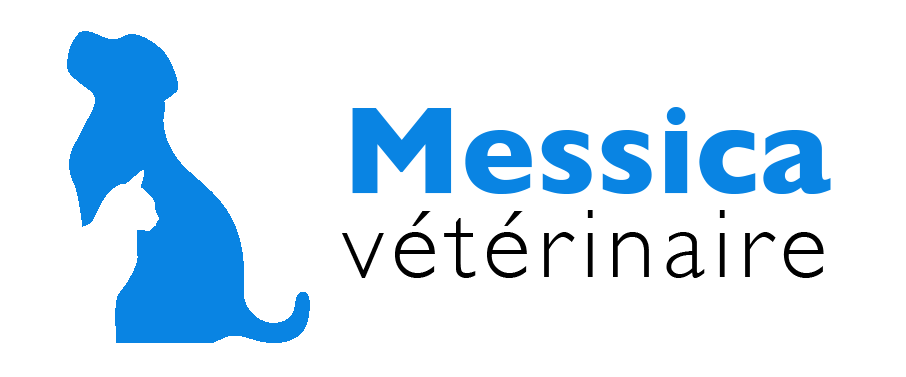 Logo Messica — cabinet vétérinaire chiens et chats
